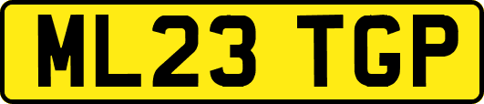 ML23TGP