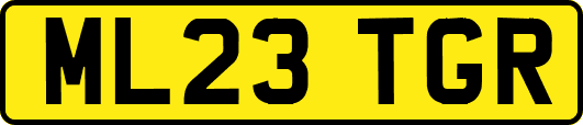 ML23TGR