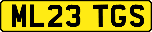 ML23TGS