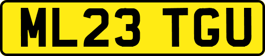 ML23TGU