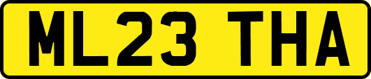 ML23THA