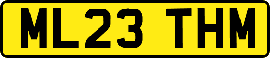 ML23THM