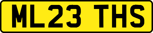 ML23THS