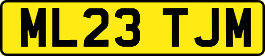 ML23TJM