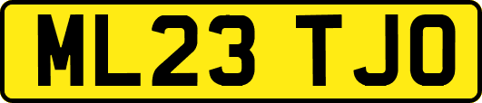 ML23TJO