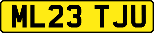 ML23TJU