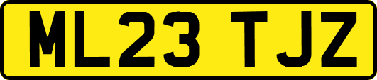 ML23TJZ