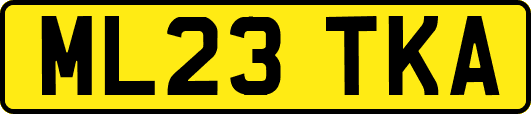 ML23TKA