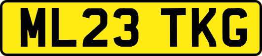ML23TKG