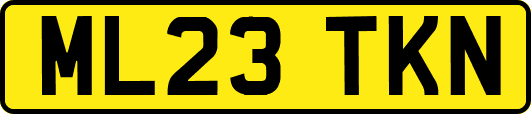 ML23TKN