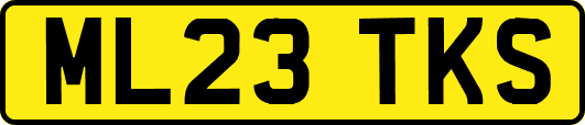 ML23TKS