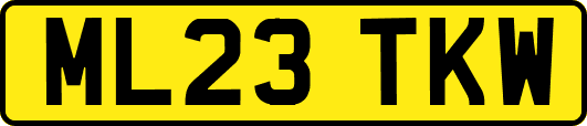 ML23TKW