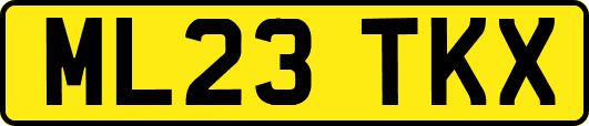 ML23TKX