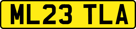 ML23TLA