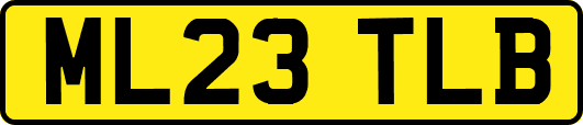 ML23TLB