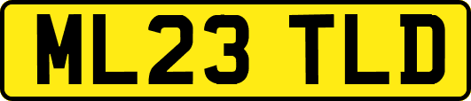 ML23TLD