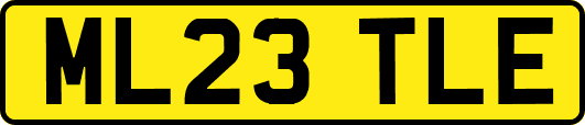 ML23TLE