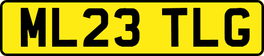 ML23TLG