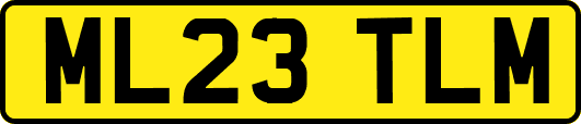 ML23TLM