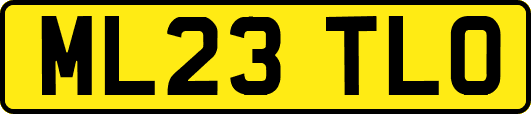 ML23TLO