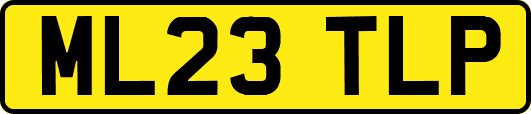 ML23TLP
