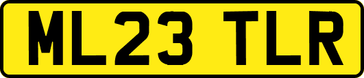 ML23TLR