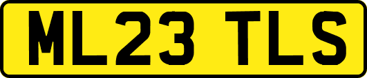 ML23TLS