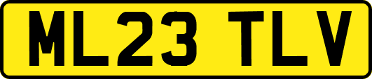 ML23TLV