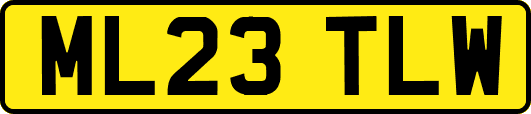 ML23TLW