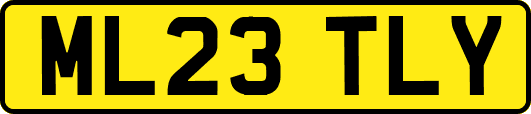 ML23TLY