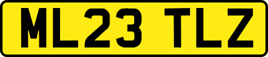 ML23TLZ