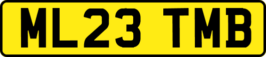 ML23TMB