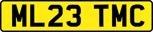 ML23TMC