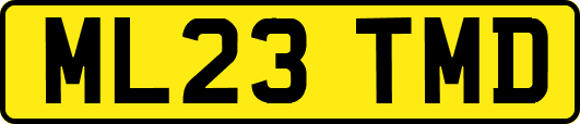 ML23TMD