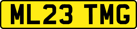 ML23TMG