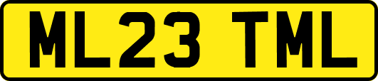 ML23TML
