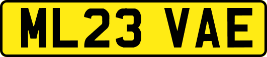 ML23VAE