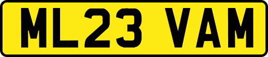 ML23VAM