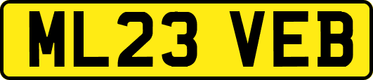 ML23VEB