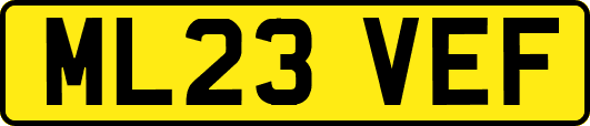 ML23VEF