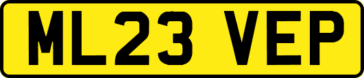 ML23VEP