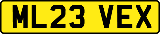ML23VEX