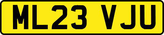 ML23VJU