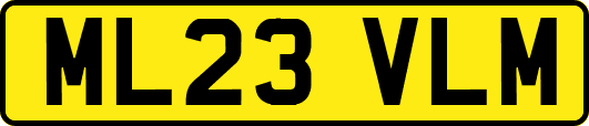 ML23VLM