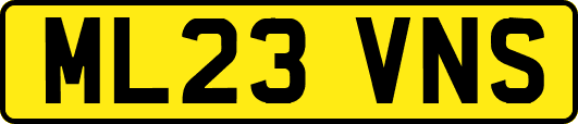 ML23VNS