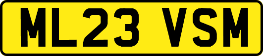 ML23VSM