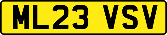 ML23VSV