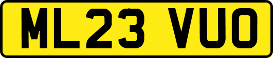 ML23VUO