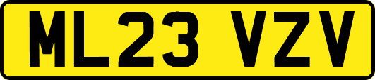 ML23VZV