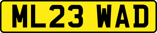 ML23WAD